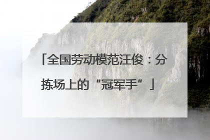 全国劳动模范汪俊：分拣场上的“冠军手”